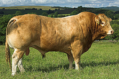 成免费crm85171｜免费 CRM 助力企业腾飞：揭秘成免费85171的神奇魔力-2