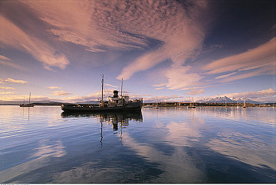 男生女生一起差差差app｜性别差异大揭秘，趣味互动探索男女差异之旅-1