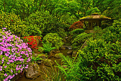 oppo黄色软键｜OPPO黄色软键：刷新视觉体验，引领手机设计新潮流-1