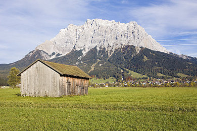 秘密研究所|探秘神秘领域:揭秘“秘密研究所”非凡成果,引领科技军事生物创新浪潮-1