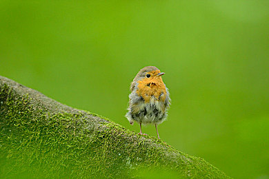 久草资源站｜久草资源站揭秘：海量资源一网打尽，助您高效整合信息宝藏-3