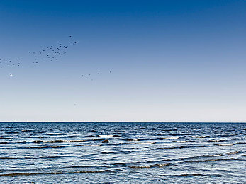 婷婷五月天丁香花｜绿意盎然丁香韵，古城花海共欢歌-2