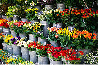 fre天美传媒XXXXHD剧情|天美传媒引领新兴影视市场创意与技术革新-1