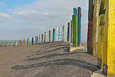 天涯pro官网色板免费版｜色彩大师：设计师的免费创意助手-2