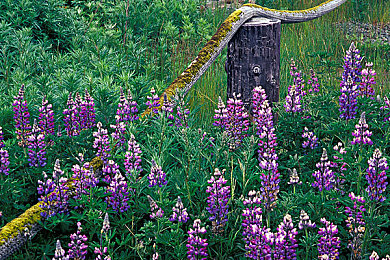 free性高满足HD性Bww｜“创新突破，我国知名企业发布free性高满足HD性Bww新型产品，引领市场新潮流”-1