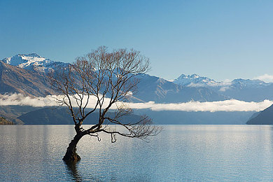 花季传禖每天三次免费游客版｜花季传禖，免费畅游，每日三场，风情无限体验之旅-1