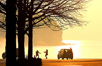 业余 性别 管|探索虚拟性别角色:游戏《业余性别管》引领玩家认知与管理多元性别身份-1