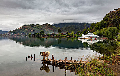 爽 好多水 快 深点软件｜揭秘“爽、好多水、快、深点”：探寻极致体验软件的奥秘与未来-1