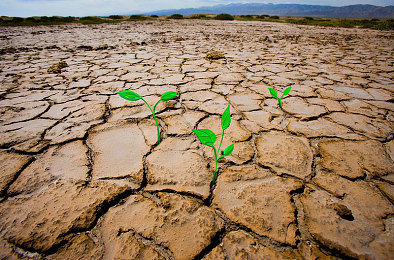 动漫无尽的向上讨厌｜动漫魅力解码：欢笑中领略生活真谛-3