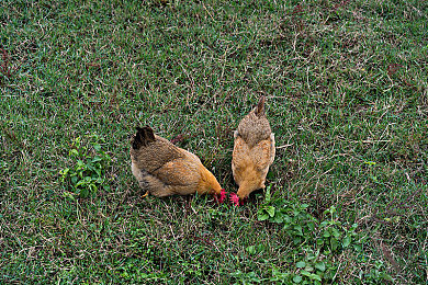 麻豆免费视频｜视频创作新天地，释放你的无限创意-2