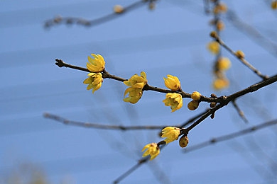 老婆同意了别人轮流联系我｜“婚姻危机：妻子同意他人轮流联系，揭秘背后的无奈选择与应对之道”-2