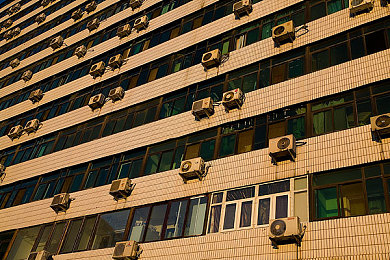 蝴蝶传禖｜探寻古代禖法奇效：蝴蝶传禖助力现代生育，神秘仪式焕发新生命力-2