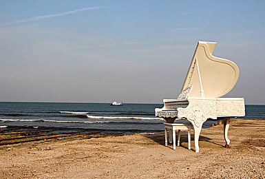 黄色软件APPOPPO｜软件风波引热议，网络清朗共守护，监管自律同行路-3