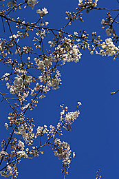 绳精病｜创意无限，互动体验新升级：“绳精病”软件打造视觉听觉双重盛宴-2