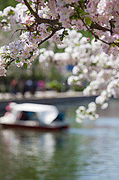 公交车短裙挺进…呻吟｜公交短裙风波：公共礼仪大考验-1