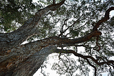迈开腿吃贝壳方法|游戏乐活新主张:运动美食两相宜,乐享健康游戏时光-2