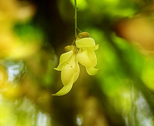 明里 人妻被越狱犯入室侵犯|“夜幕惊魂:明里市越狱犯入室侵犯,全民共筑安全防线”-1