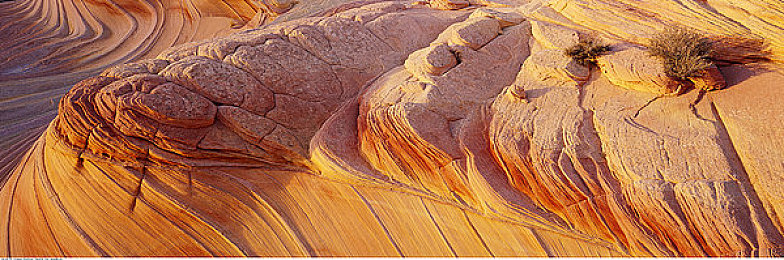 西方137大但人文艺术a管予评｜西方艺术盛宴之旅，探寻137位大师的多元魅力-2