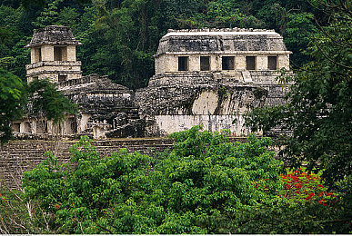 榴莲视频黄色｜揭秘榴莲视频：网络谣言背后的真相之旅-2