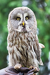 十大黄色禁用软件|揭秘十大禁用黄色软件:网络净化历程与注意事项揭秘-2