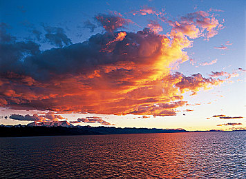 软件网站下载3.0.3免费OPPO版破解装扮版大全｜免费畅享，OPPO专属破解装扮版，尽在最新3.0.3版本-1