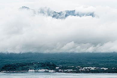 夜月直播视频直播免费观看｜无尽乐趣的直播之旅，尽享新娱乐体验