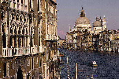 性副宝｜性副宝爆红网络：揭秘其商业策略与性健康市场潜力