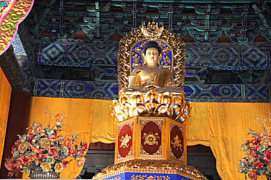 老人电梯门梅开二度|温暖守护:老人电梯智能相伴之旅-1