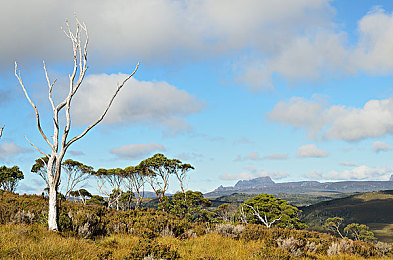男生和女生一起差差差的软件下载｜“青春共成长，‘差差差’软件助力生活新风尚”-2