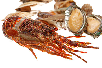 机机对机机的30分钟免费软件|智慧对话畅享30分钟,AI伙伴互动新体验-1