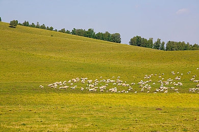 99九九热｜电商狂欢背后的秘密武器：“99九九热”促销模式解析揭秘