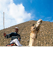 黑人解禁|种族平等新纪元:解禁之路,共筑和谐家园-1