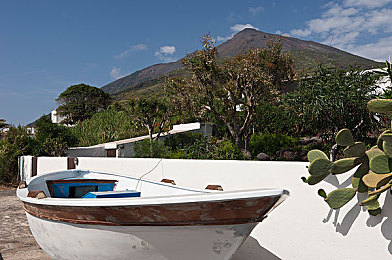 天天综天天爱｜娱乐盛宴，天天综天天爱，乐享生活每一刻