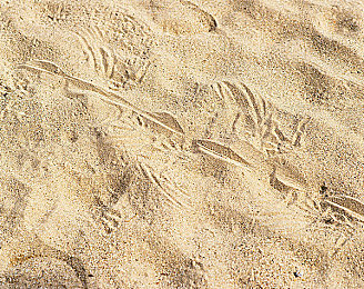 花季传媒每天一次免费|文化之旅,年轻人共享的免费体验平台-1