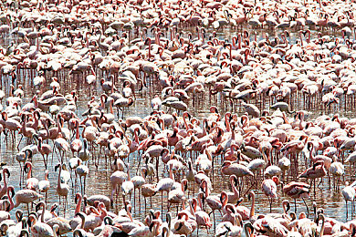 韩国3j｜三国策略新篇章，韩国3j绘梦征途-1