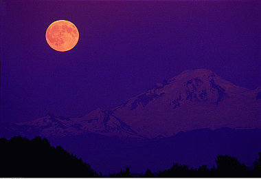 78m隐藏通道5｜神秘逃生通道大揭秘：78米隐秘通道5，应急利器解锁生存术-2