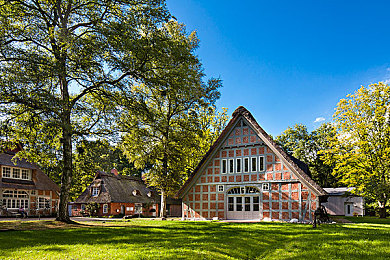 差差差差不多三十分钟轮滑鞋|极限挑战轮滑,感受真实速度与激情-2