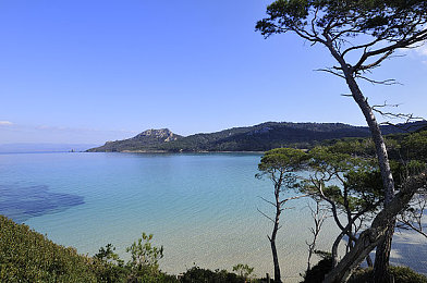 老师让我C｜““老师让我C”事件引热议：教育公平问题亟待解决，如何维权成焦点？”-1