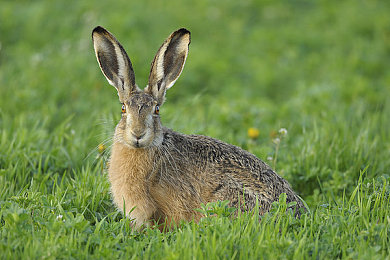 免费性爱|现代情感探索中的风险与反思之路-2