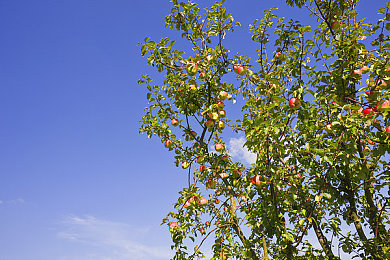 国产精品精品｜创新驱动，国货之光：引领产业升级与消费飞跃