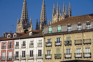 日本／调教／捆绑／紧缚｜日本情感纽带：揭秘调教与紧缚的独特艺术魅力-1