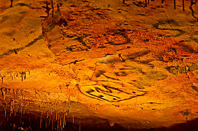 香港奇强 二级｜奇强娱乐新篇章，内容盛宴任你享