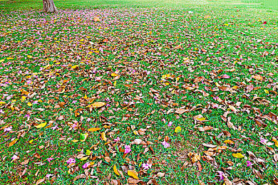 童帝结弦10部必看番有哪些｜动画传奇再续：童帝结弦逝世十周年，十大经典动画重温青春篇章-2