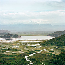 张丽EVeIynIinPK黑人｜东西方电竞交融，张丽EVeIynIinPK黑人盛宴绽放光彩-1