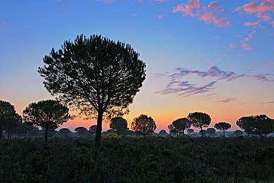 好 色 先 生tⅴ｜色彩魔法师：打造个性家居，提升生活品质-1