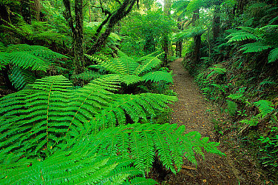 女人在厨房被狂躁3小时｜“厨房惊魂：女子遭遇三小时狂躁攻击，家庭暴力引发社会关注与反思”