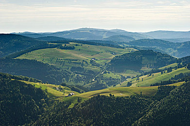 桃花岛TV|数字时代的新文化窗口,探索年轻生活的多样性-1