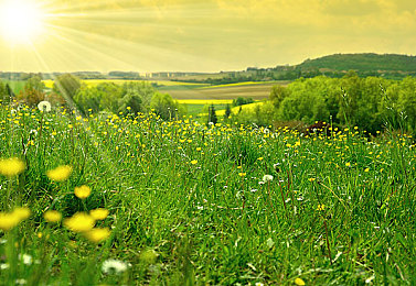 黄色应用软件下载｜揭秘隐私护航下的成人娱乐软件，下载技巧与个性化体验解析