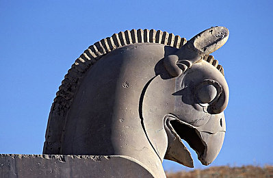 本子网站｜知识宝库，指尖上的智慧殿堂-2