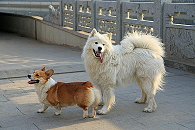 成人版黄色|新型成人娱乐软件走红,海量视频与智能推荐带来全新快乐体验-1